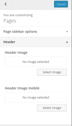 Pages header options